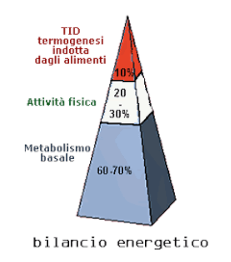 CHE COSA SONO LE DIETE IPOCALORICHE E COME FUNZIONANO