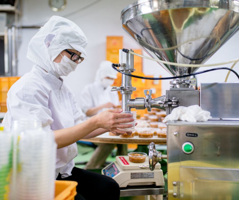 Cibi Trasformati Cosa Sono