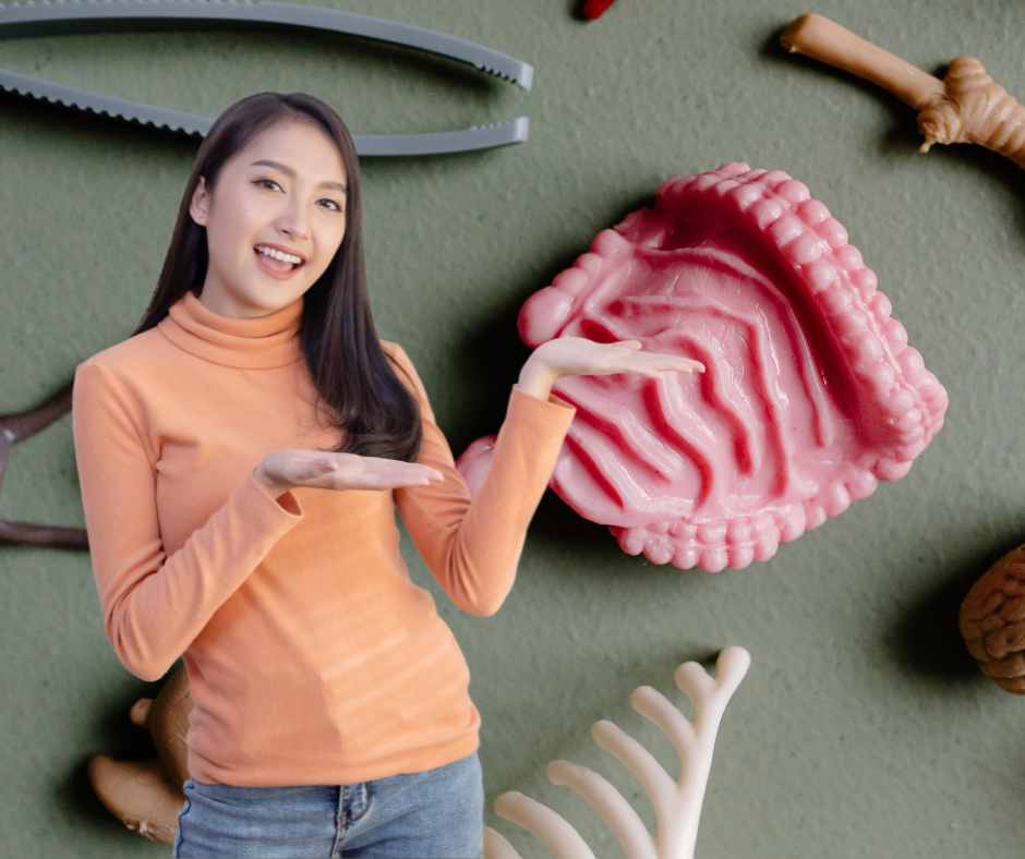 Zinco minerale essenziale utile all'intestino e amico della fertilità