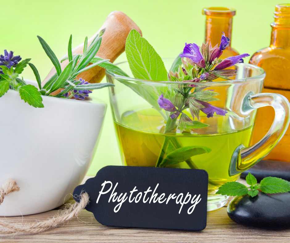 Dieta e Fitoterapia alleate per un'approccio chetogenico