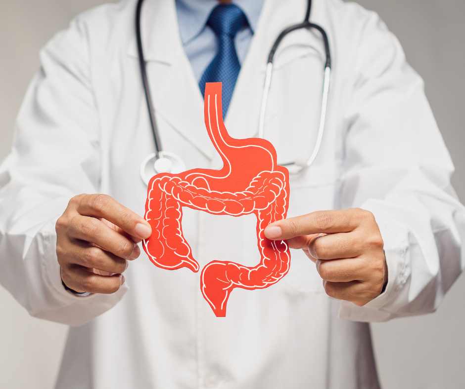 Nutraceutici e alimenti funzionali l'importanza del microbiota