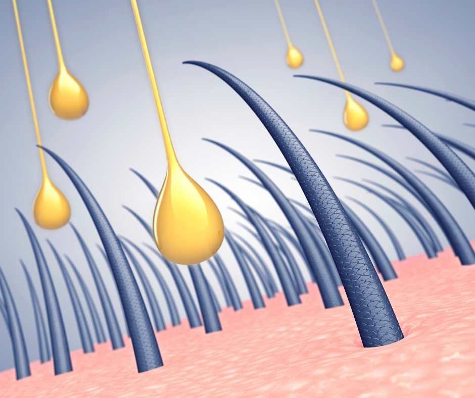 struttura del capello fusto