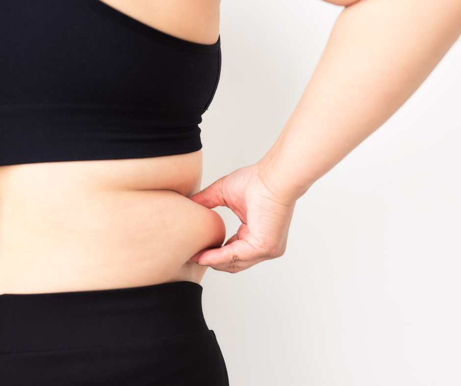 Obesità ginoide e dieta grasso viscerale